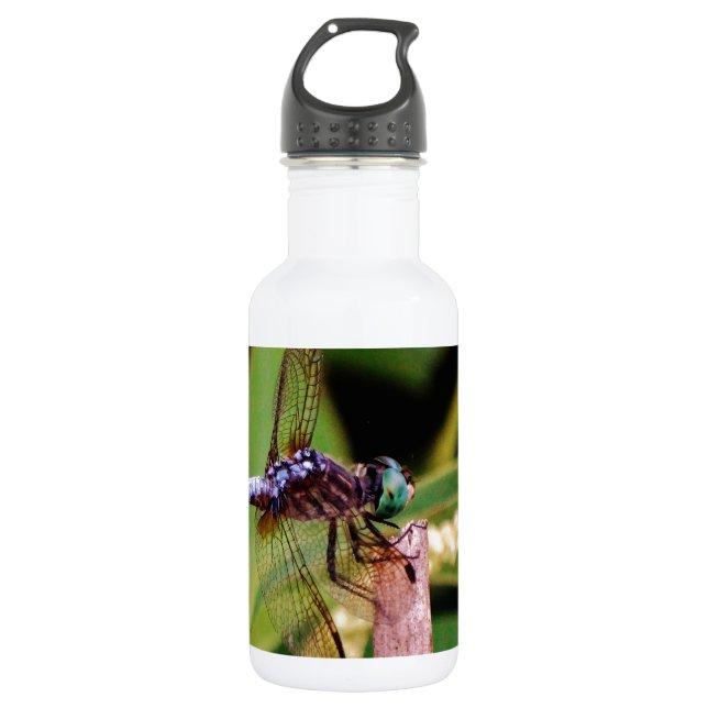 Dragonfly with white flowers 532 ml water bottle (Front)