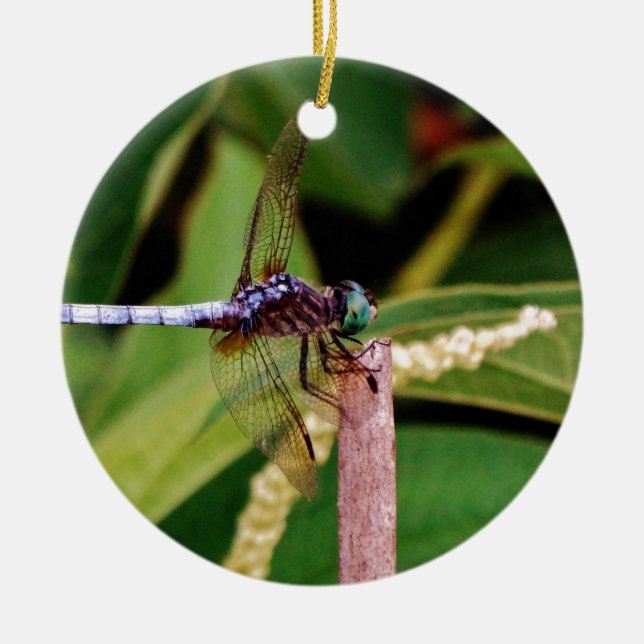 Dragonfly with white flowers ceramic tree decoration (Front)