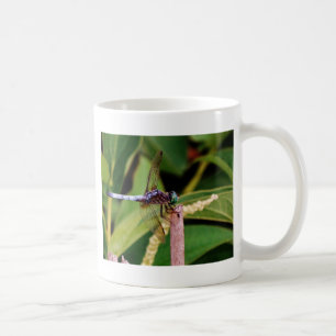 Dragonfly with white flowers coffee mug