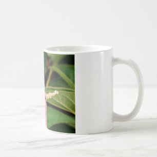 Dragonfly with white flowers coffee mug