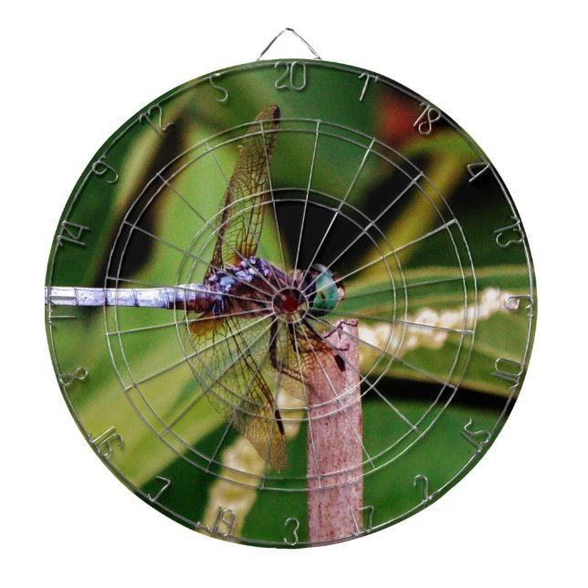 Dragonfly with white flowers dartboard (Front)