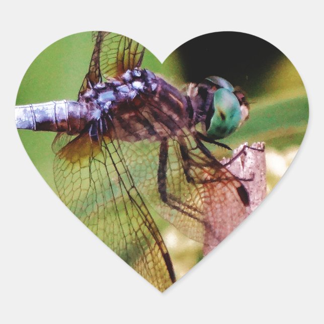 Dragonfly with white flowers heart sticker (Front)