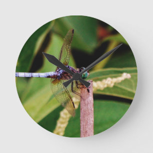 Dragonfly with white flowers round clock