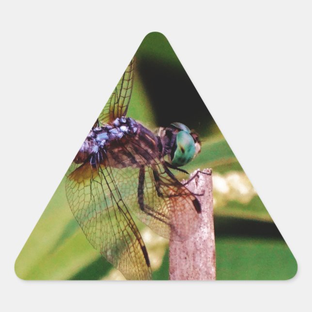 Dragonfly with white flowers triangle sticker (Front)