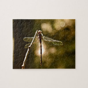 DRAGONFLY'S FIRST FLIGHT JIGSAW PUZZLE