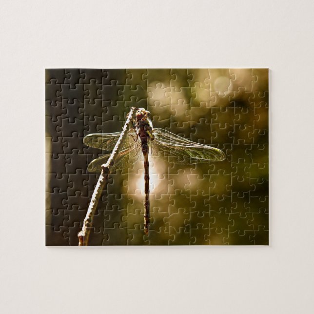 DRAGONFLY'S FIRST FLIGHT JIGSAW PUZZLE (Horizontal)