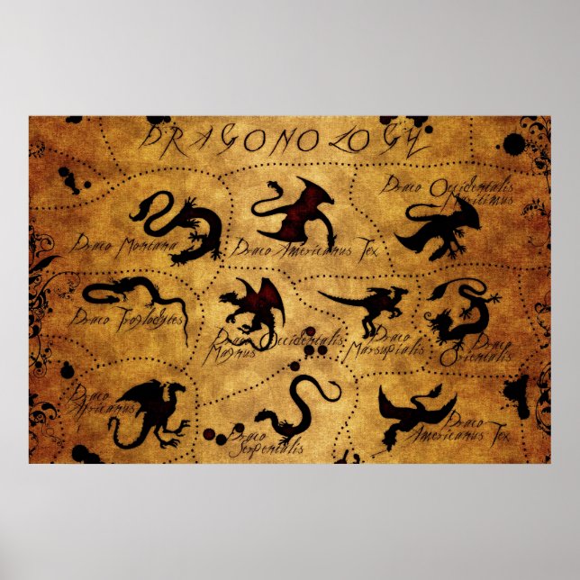 Dragonology Poster (Front)