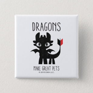 "Dragons Make Great Pets" Toothless Graphic 15 Cm Square Badge