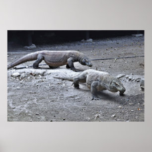 Dragons on Patrol Poster