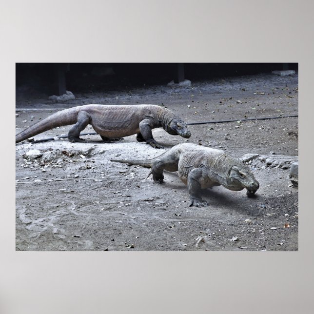 Dragons on Patrol Poster (Front)