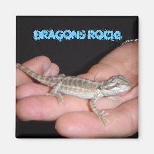 Dragons Rock My World Magnet