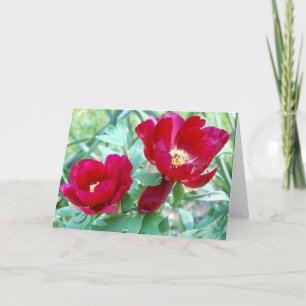 Dragons, Tigers and Peonies VII Card