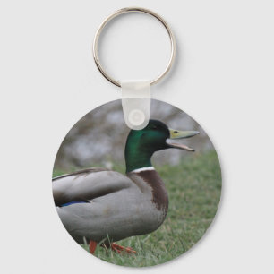 Drake Mallard Duck Key Ring