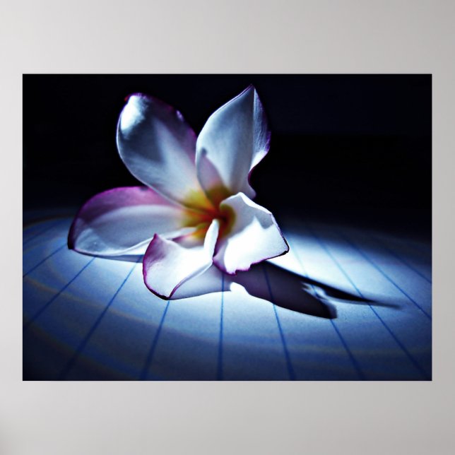 DRAMA (edt) Poster (Front)