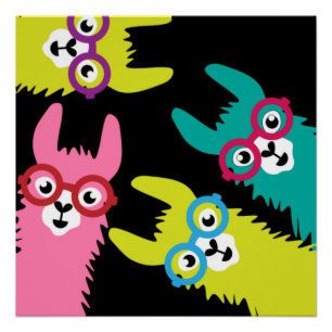 Drama Llama Colourful Camelid  Poster
