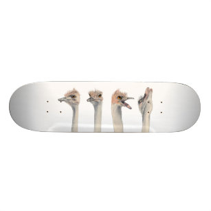"Drama Queen" Funny Ostriches Painting Skateboard