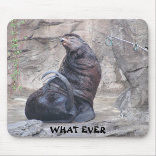 Drama Seal says "what ever" Mouse Mat