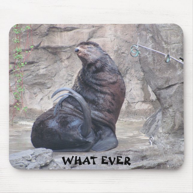 Drama Seal says "what ever" Mouse Mat (Front)