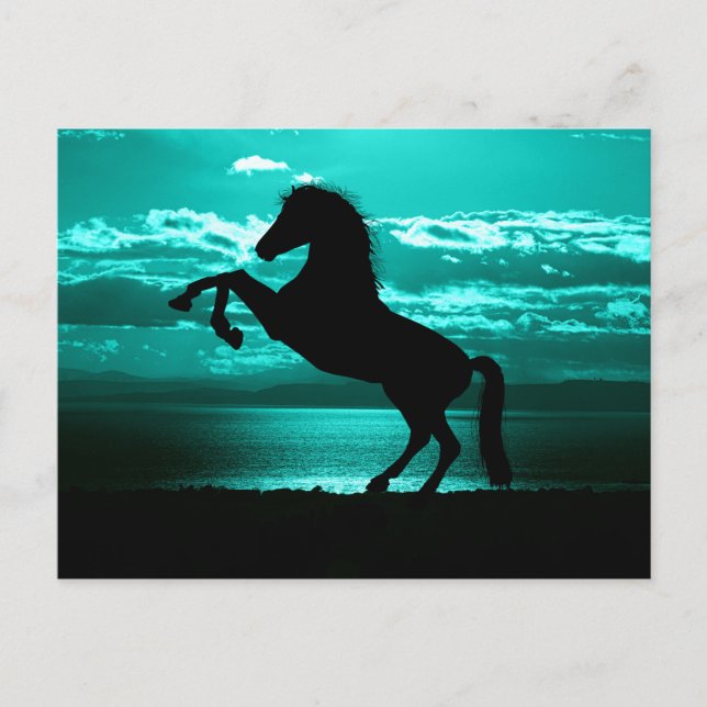 Dramatic Black Horse Teal Sky Peaceful Postcard (Front)