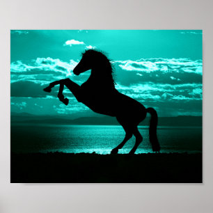 Dramatic Black Horse Teal Sky Peaceful  Poster