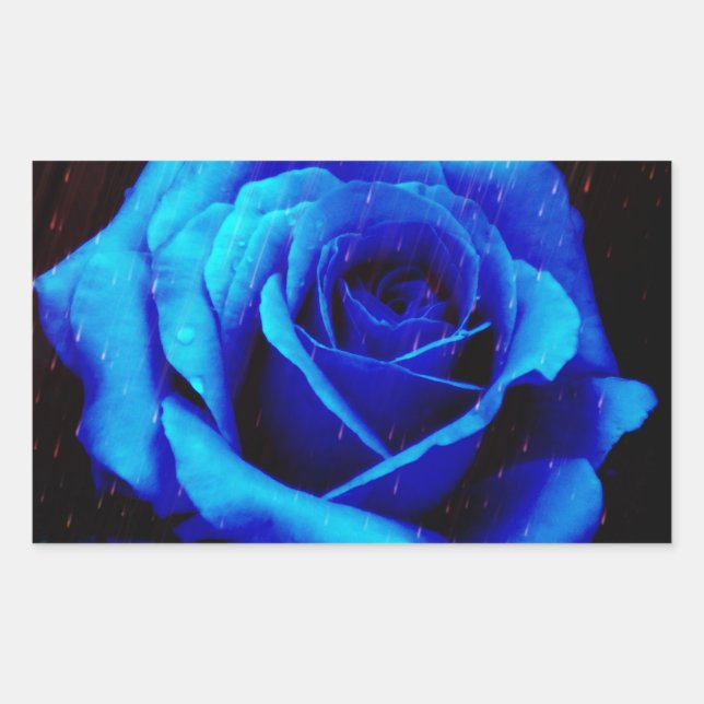 Dramatic Blue Rose Rectangular Sticker (Front)