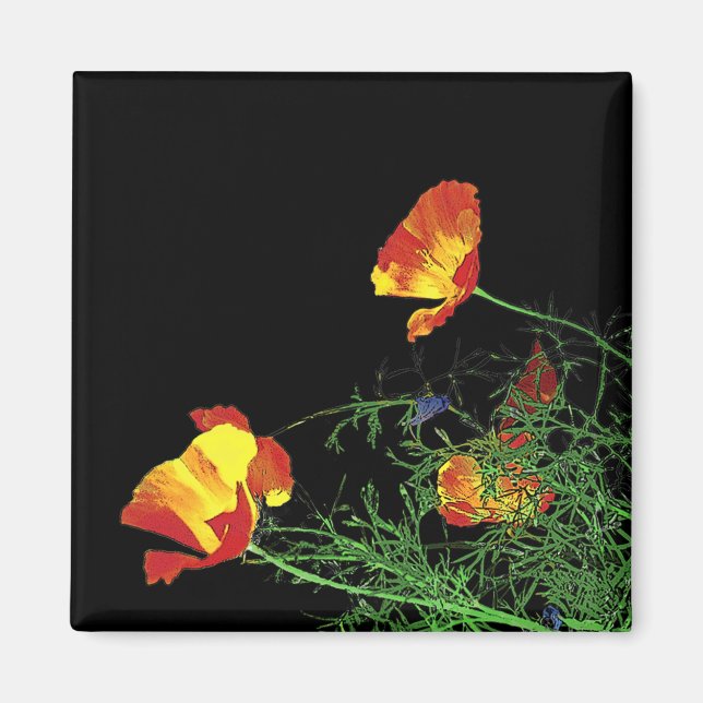 dramatic California poppies on black Magnet (Front)