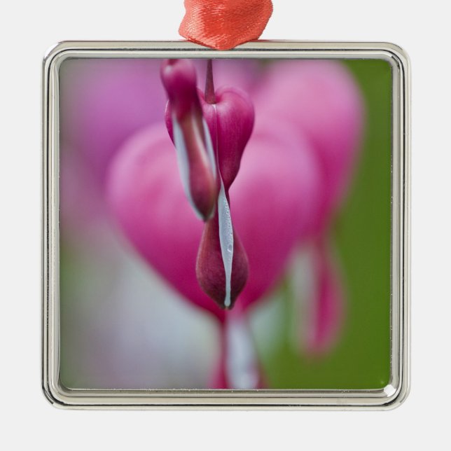 Dramatic colour and shape of bleeding heart metal tree decoration (Front)