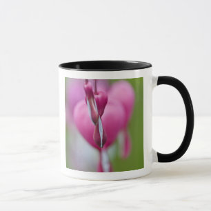 Dramatic colour and shape of bleeding heart mug
