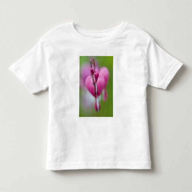 Dramatic colour and shape of bleeding heart toddler T-Shirt (Front)