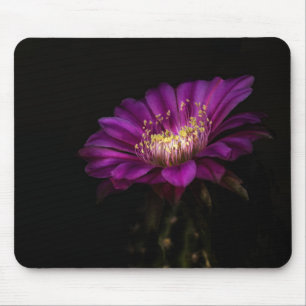 Dramatic Flatty Cake Cactus flower Mouse Mat