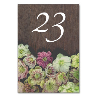 DRAMATIC Garden Hellebore Table Number