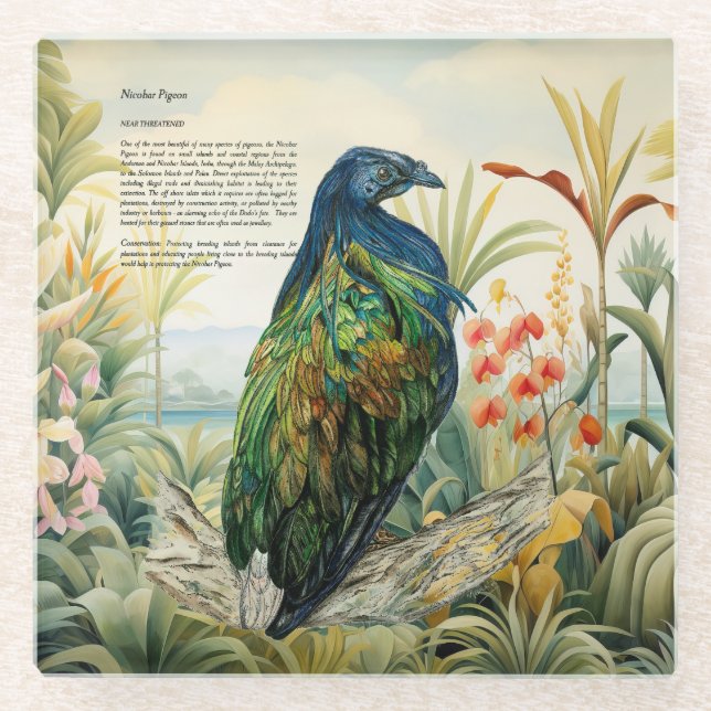 Dramatic Hand-Painted Nicobar Pigeon Glass Coaster (Front)