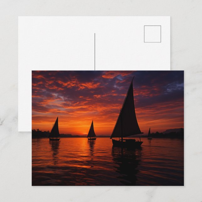 Dramatic Nile Sunset Feluccas Egyptian Postcard (Front/Back)