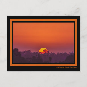 Dramatic Orange Sunset Palm Tree Sun Pink Summer Postcard