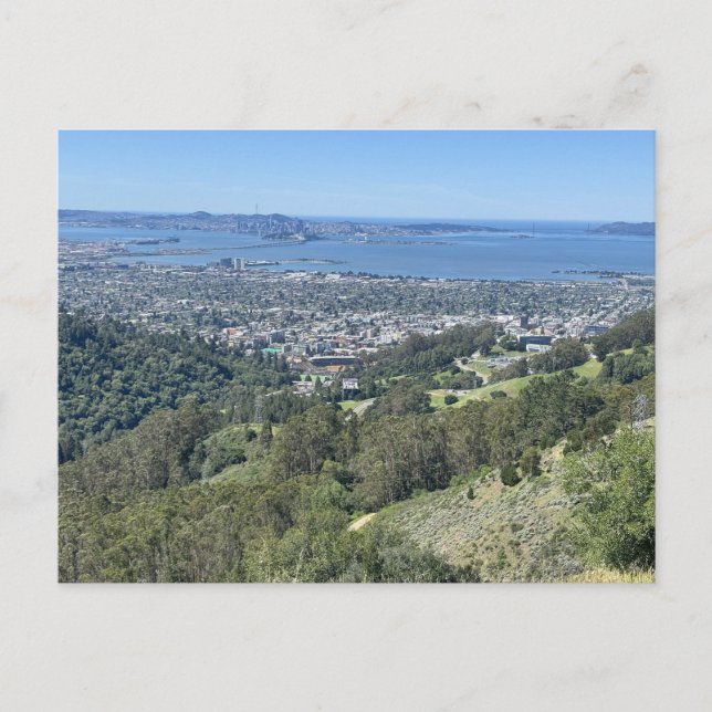 Dramatic Panoramic View of Bay Bridge  Postcard (Front)