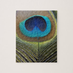 Dramatic Peacock Feather Jigsaw Puzzle