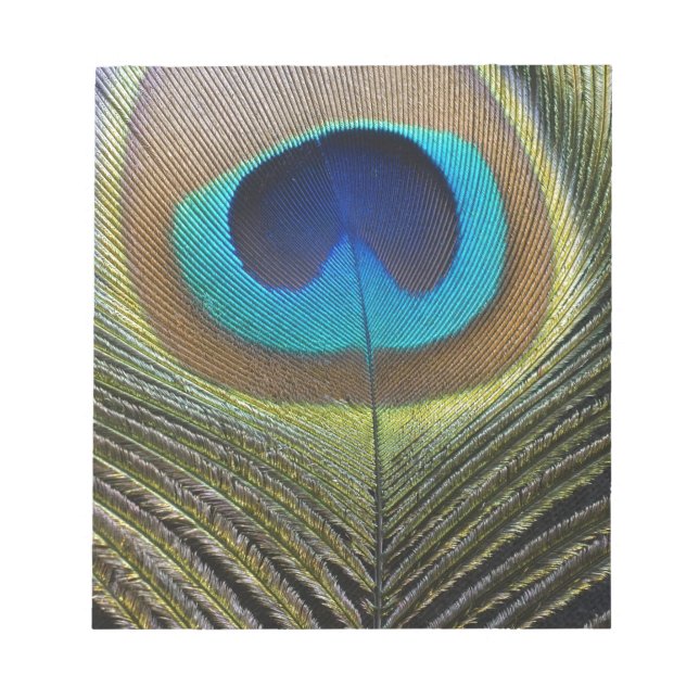 Dramatic Peacock Feather Notepad (Front)