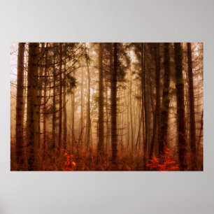 Dramatic red foggy winter snowless forest poster