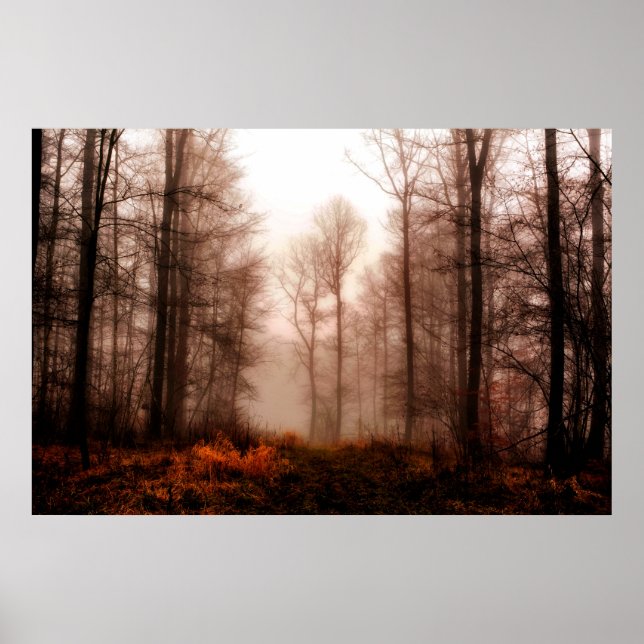 Dramatic red foggy winter snowless forest poster (Front)