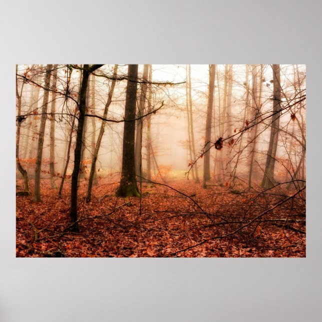 Dramatic red foggy winter snowless forest poster (Front)