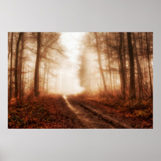 Dramatic red foggy winter snowless forest poster