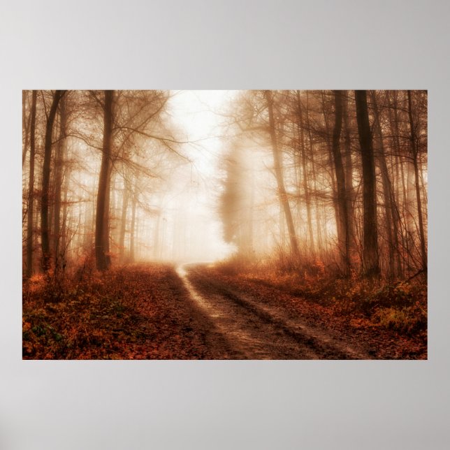 Dramatic red foggy winter snowless forest poster (Front)