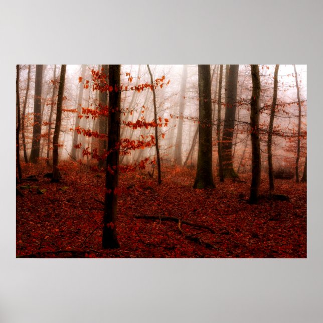 Dramatic red foggy winter snowless forest poster (Front)