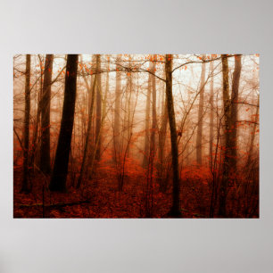 Dramatic red foggy winter snowless forest poster