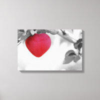 Dramatic Red Heart Shaped Apple