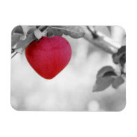 Dramatic Red Heart Shaped Apple