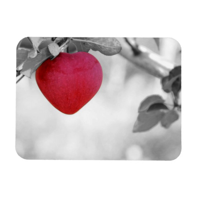 Dramatic Red Heart Shaped Apple Magnet (Horizontal)