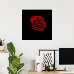 Dramatic Red Rose – Minimalist Floral Art Print