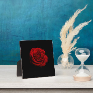 Dramatic Red Rose – Minimalist Floral Art Print Plaque