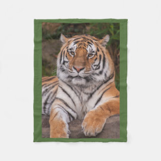 Dramatic Resting Tiger Fleece Blanket